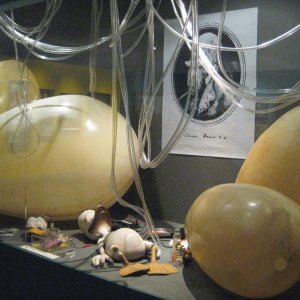 Sonderausstellung: Duckomenta (HI)