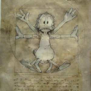 Sonderausstellung: Duckomenta (HI)