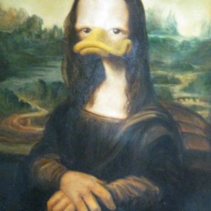 Sonderausstellung: Duckomenta (HI)