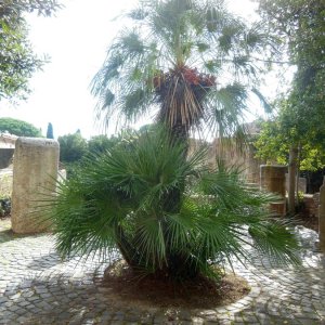 Ostia Antica