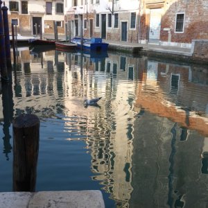 Auf dem Canal Grande