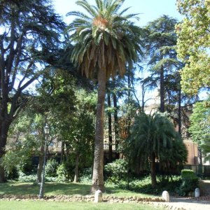 Giardino al Quirinale