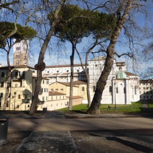 Lucca - Dom San Martino