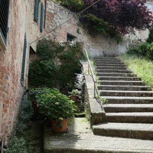 Montepulciano