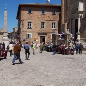 Urbino