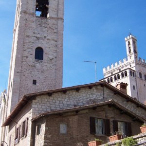 Urbino