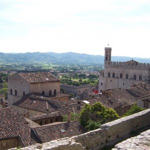 Urbino