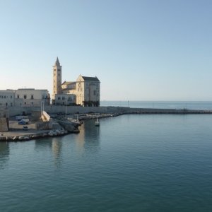 Trani - Kathedrale