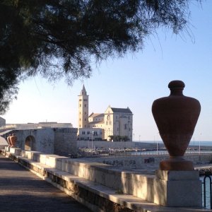 Trani - Kathedrale