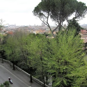 Blick über die Stadt