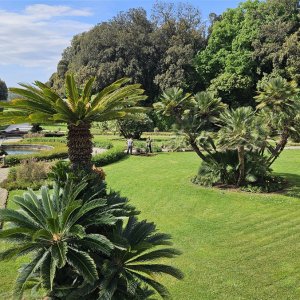 Reggia di Caserta - Park