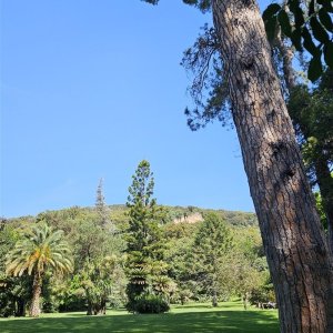 Schloss Caserta - Englischer Garten