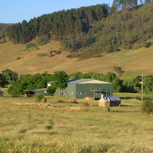 Der Neue shearing shed