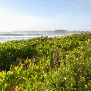 Mollymook Beach