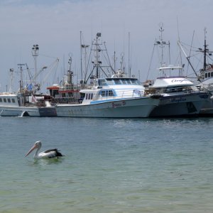 Ulladulla-Hafen