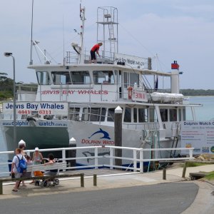 Whale-watching Boat