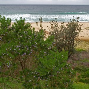 Mollymook-Beach