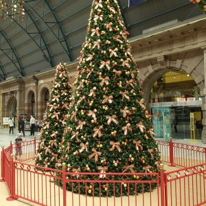 Weihnachtsbaum in Sydney Central