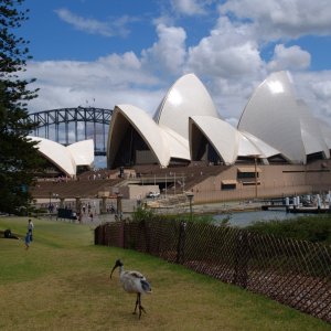 Sydney Opera