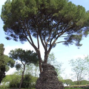 Via Appia Antica