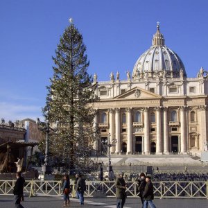 Petersdom, Februar 2010